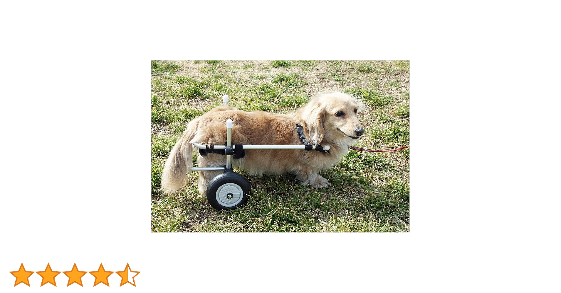 ちこちゃんページ■小型犬用2輪　犬の車椅子　犬の歩行器　+オプション ちこちゃん様専用ページ□小型犬用2輪 犬の車椅子 犬の歩行器 +